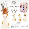 Oimoya Birthday Present for the Aged Day Flower Gift Single