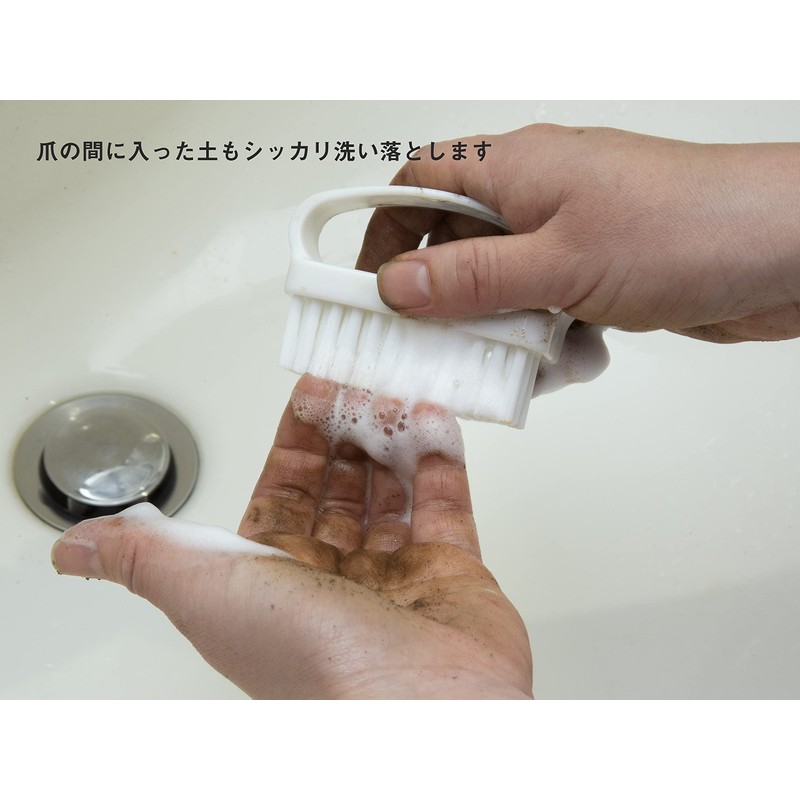 Brosse Hand Wash Brush, Made in Japan, Firm, Italian Brush