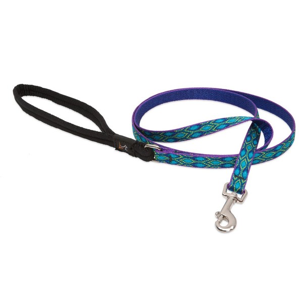 LupinePet Originals 1/2" Rain Song 6-foot Padded Handle Leash for Small Pets