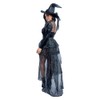 Starline Women's Plus Wicked Witch Costume (2X)