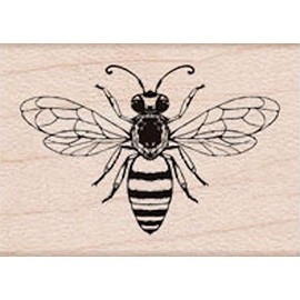 Hero Arts Bee Wood mounted rubber stamps - A6291