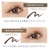 CAROME. (カロミー) Liquid Eyeliner 【Brown Black】 Black Brown Renewed Produced