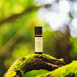 Pure Hazelnut Oil Face & Neck Serum | Intensive Skin Revitalizer | Facial Serum | Face Oil, Natural & Organic Face Moisturizer Glow | All Natural | 50ml | ADEM