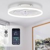 STERREN Ceiling Fans with Lights,20" Low Profile Ceiling Fan with