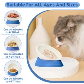 French Bulldog Food Bowl- Slanted Tilted Pug Food Water Bowl,Cat Bowl- Feeder for Frenchie/Shih Tzu/Flat Faced Small Dogs/Puppies/Cats (Blue, 4 Cup)