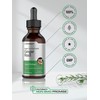Horbäach Ginger Root Extract Liquid | 2 oz | Alcohol