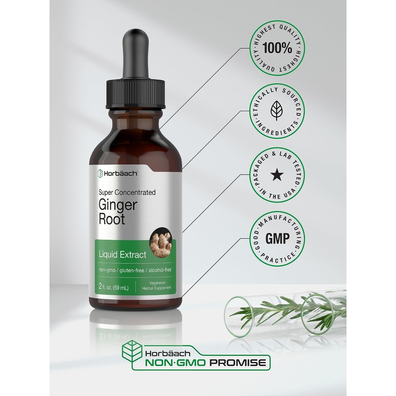 Horbäach Ginger Root Extract Liquid | 2 oz | Alcohol