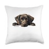 Paws & Whiskers Threads Labrador Peek-a-Boo Dog Throw Pillow, 18x18,
