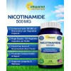 aSquared Nutrition Nicotinamida 500 Mg Con Resveratrol Precursor Nad, Gmp