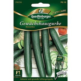 Quedlinburger Greenhouse Cucumber Marumba 1 Serving