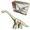 4D Vision Dinosaur Anatomy Model - Interactive Dinosaur Skeleton &