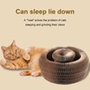 RoseYouth Magic Organ Cat Scratcher Board, Cat Ball Adventure The