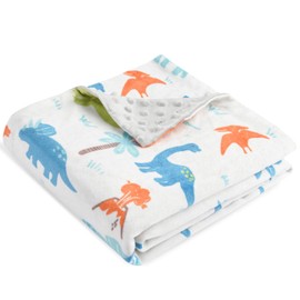 HOMRITAR Baby Blanket for Kids Super Soft Minky Blanket with Dotted Backing, Dinosaurs Multicolor Printed for Toddlers Nursery 30 x 40 inch (75 x 100 cm)
