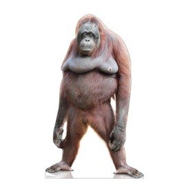 Cardboard People Orangutan Life Size Cardboard Cutout Standup - Made in USA