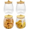 ZSDRTYU Glass Canisters, 4 Pack 25 Oz Glass Canisters With
