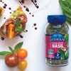 Litehouse Freeze Dried Basil (8 grams) 1 Bottle