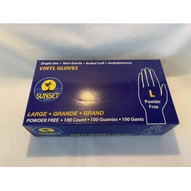Sunset Powder Free Vinyl Gloves (Large)
