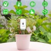 Royal Gardineer Soil Moisture Meter: Set of 2 Soil Moisture