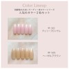 Rooro RF-BSET RAFUL Noody Nail, Popular Colors, 2 Color Set,