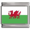 NewCharms Wales Flag Italian Charm Bracelet Jewelry Link