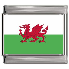NewCharms Wales Flag Italian Charm Bracelet Jewelry Link