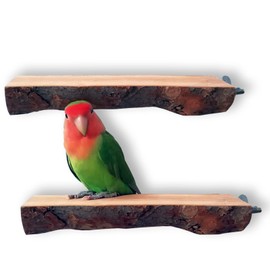Qihengzhijia Wood Perch Bird Platform- 2PCS Natural Parrot Perch, Flat Bird Play Stand Parakeet Cage Accessories for Small Medium Lovebird Conures Macaws Exercise Toy