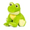 Cuddly Soft 16 inch Stuffed Frog - We Stuff 'em...You