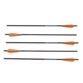 Dead Ringer Nutralyzer Arrows, 5 Pack of High-Strength Crossbow Bolts Compatible with All Broadheads, 22"