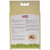 Living World Hamster Fluff, 1-Ounce