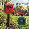 Solar Motion Sensor Animal Repeller for Outdoor Protection – Dog