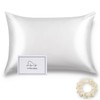 ALASKA BEAR Silk Pillowcase Envelope Closure, 22 Momme 100 Percent