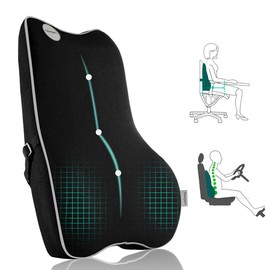 Lumbar Support Pillow,Pure Memory Foam Back Cushion Orthopedic Backrest with Breathable 3D Mesh for Car Seat,Office Chair,Computer Chair,Wheelchair and Recliner.Ergonomic Design (Grey Edge)