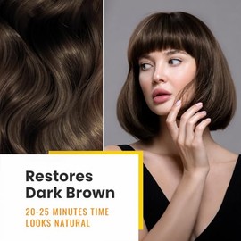 KINGMING- Champú para teñir el cabello castaño oscuro 3 en 1 para cubrir las canas, ingredientes a base de hierbas para hombres y mujeres, 500 ml (D
