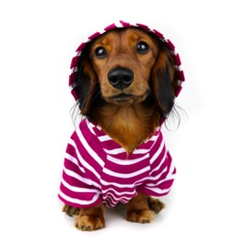 DJANGO Dog Hoodie and Super Soft and Stretchy Sweater with Elastic Waistband and Leash Portal (X-Small, Boysenberry)