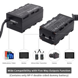 ANDYCINE D-Tap P-Tap to Double-Sided NP-F Series Dummy Battery Power Adapter with Dual DC, USB-C Output Power Supply for Camera, Monitor, Compatible for DJI SDR Video Transmitter