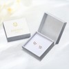 Capybara Earrings Capybara stud Earrings 925 Sterling Silver Heart-shape Stud