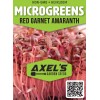 Axel's Garden Seeds Red Garnet Amaranth MICROGREEN Seeds | Non-GMO