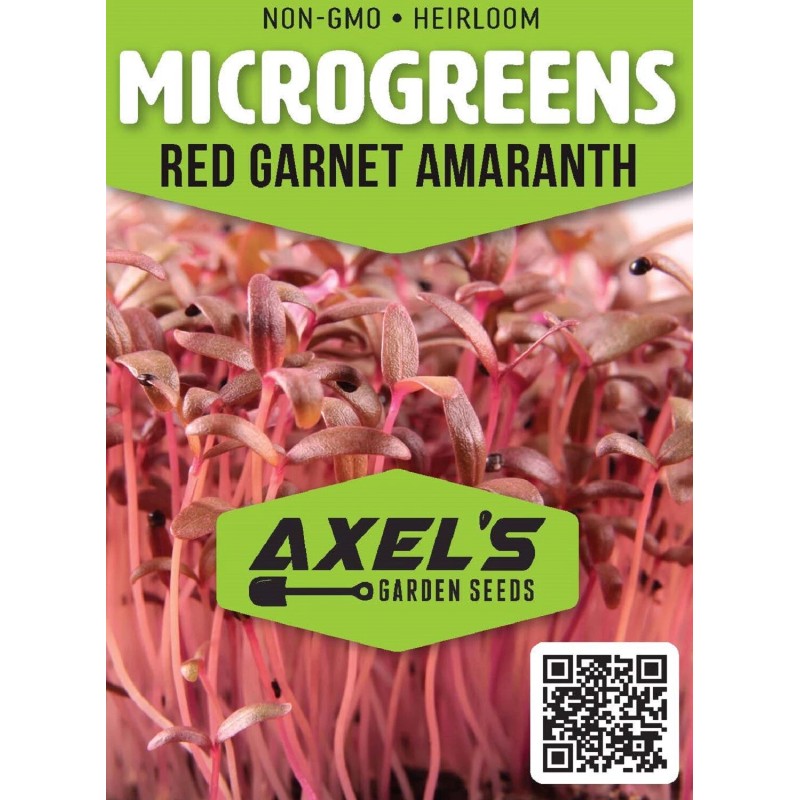 Axel's Garden Seeds Red Garnet Amaranth MICROGREEN Seeds | Non-GMO