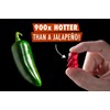 Lil' Nitro: The World's Hottest Gummy Bear