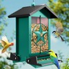 Buteafly Squirrel Proof Bird Feeder for Outdoors Hanging, Metal Wild