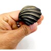 5MOONSUN5's Ocean Theme Cast Iron Door Knobs/Drawer Pulls Dresser Door