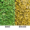 Rainbow Chemicals Kokeres 25g×2