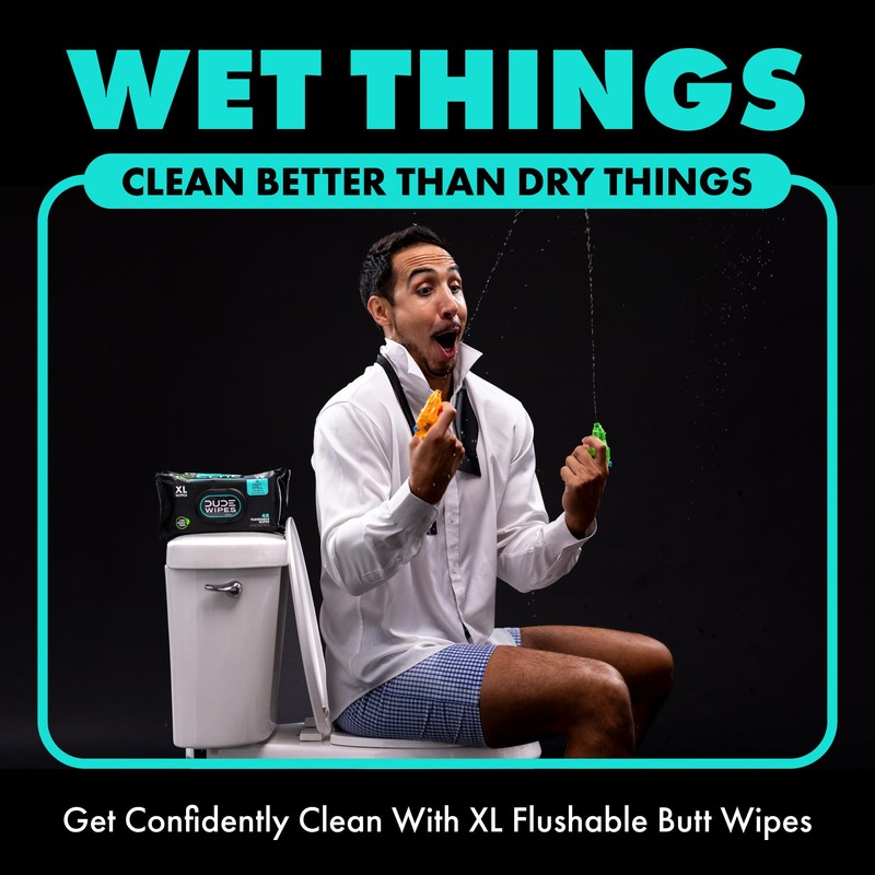 DUDE Wipes - Flushable Wipes - 1 Pack, 48 Count