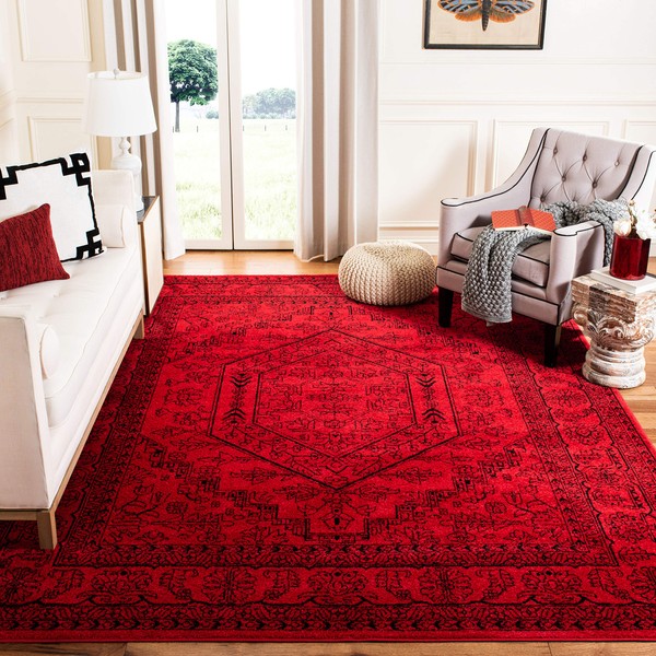 Safavieh Adirondack Collection ADR108F Oriental Medallion Area Rug, 9' x