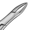 Dental Extracting Forceps Heavy Duty Universal Style German Grade Stainless