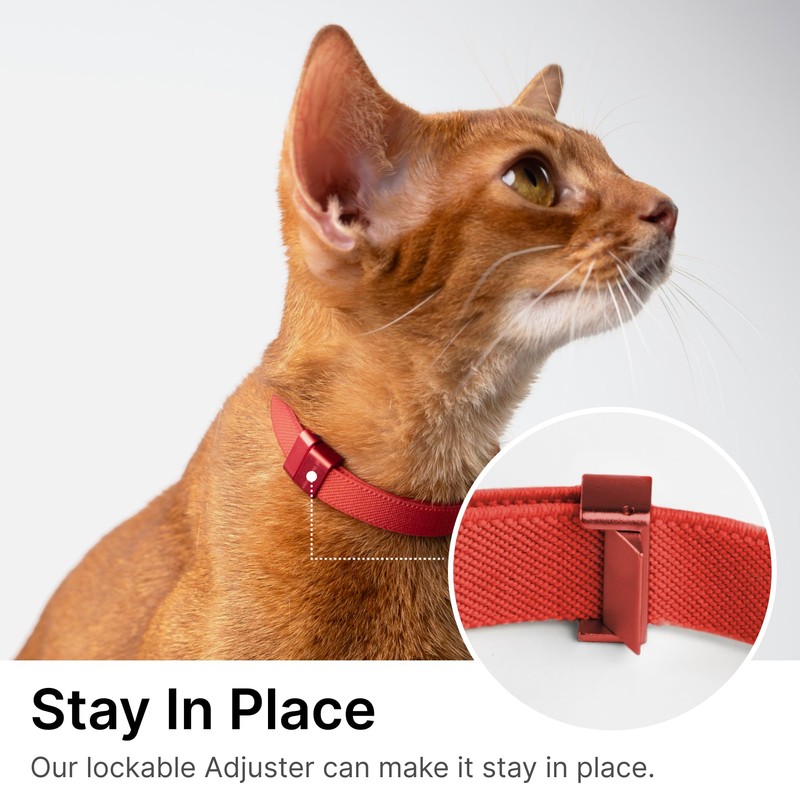 Safety Cat Collar Pro - U.S. IDA Gold Awarding Design,