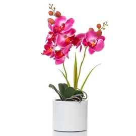 Jusdreen Artificial Flower Bonsai with Vase Vivid Orchid Flower Arrangement Phalaenopsis Flowers Pot for Home Office Décor Table Centerpiece House Decorations - Color: Ceramic-Purple