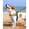 QIFBYFB No Pull Dog Harness for Small Medium Large Sized