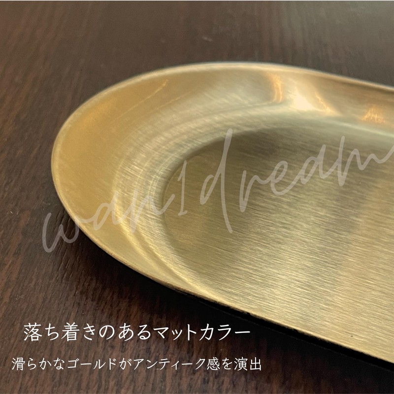 Stainless Steel Tray, Metal Coin Tray, Antique (Gold) Matte [M]