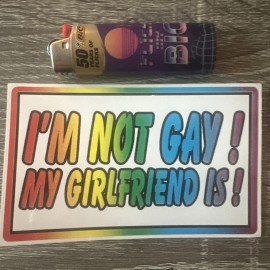 Security I’m No Gay But My Girlfriend Is Bumper Sticker Decal  3x5 “ Rainbow Pride Prank